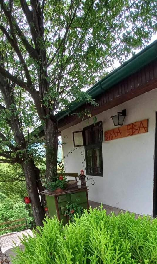 Vila Eva Meduvrsje Exterior photo