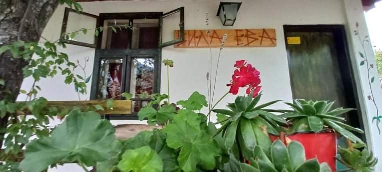 Vila Eva Meduvrsje Exterior photo