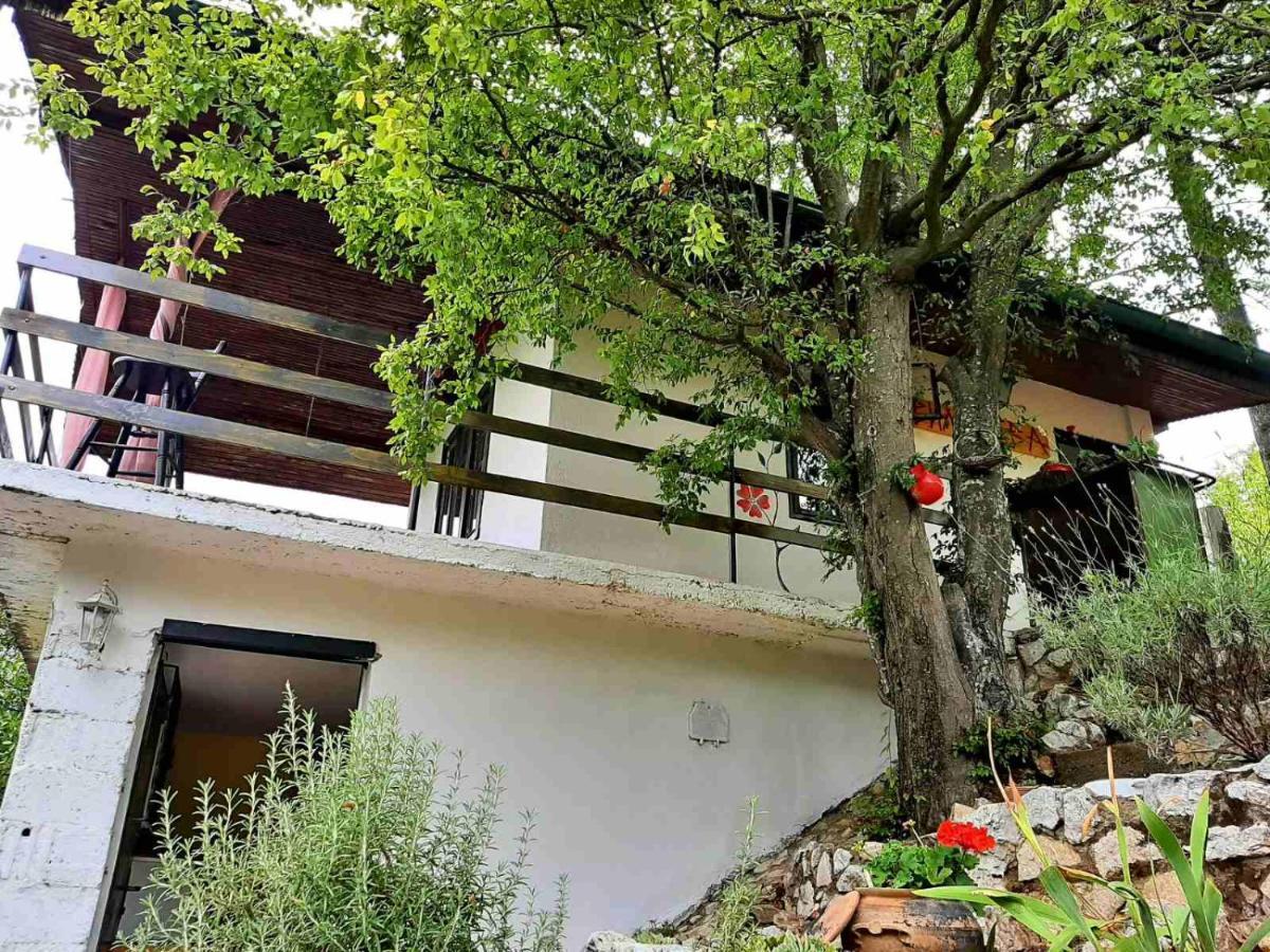 Vila Eva Meduvrsje Exterior photo